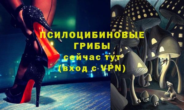 МДМА Новозыбков