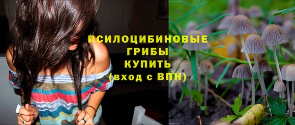 МДМА Новозыбков