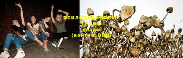 МДМА Новозыбков