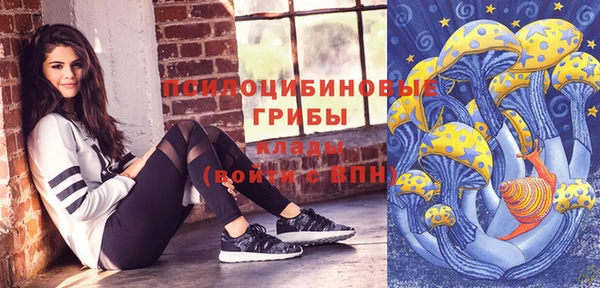 МДМА Новозыбков