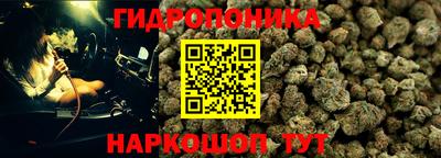 ПСИЛОЦИБИНОВЫЕ ГРИБЫ Нальчик