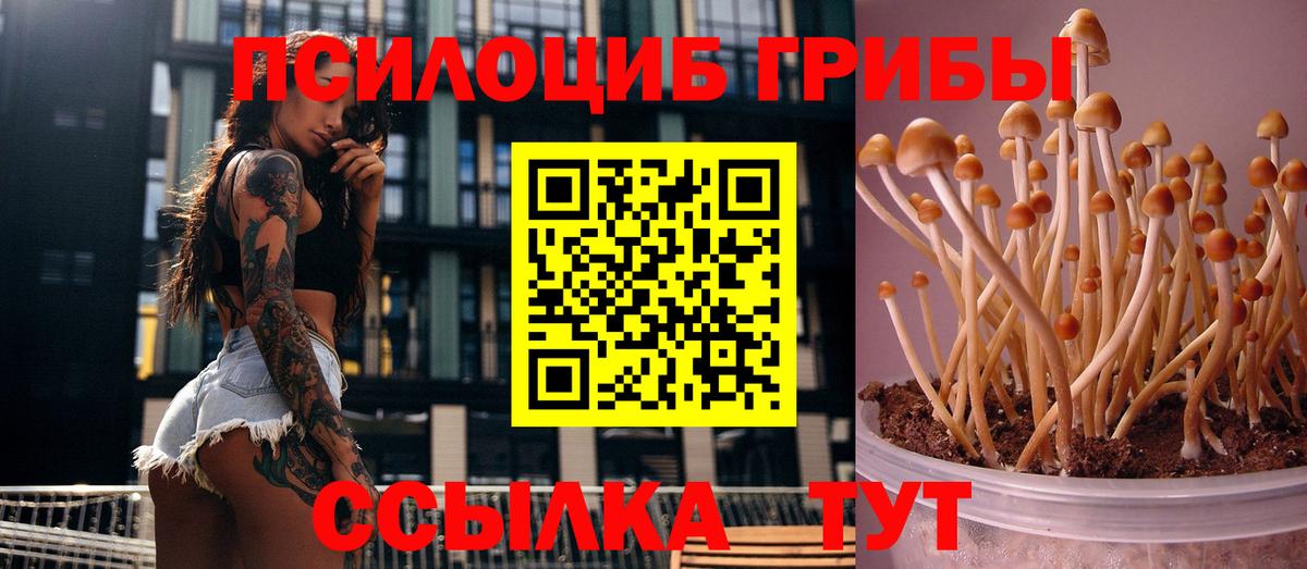 Чусовой  Галлюциногенные грибы ЛСД  Вход с VPN 